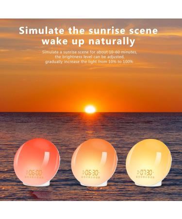 Baozily Light Alarm Clock Sunrise Sunset Simulation Double Alarms Snooze FM Radio & 11 Color Options Wake Up Naturally! - Buy Online on GoSupps.com