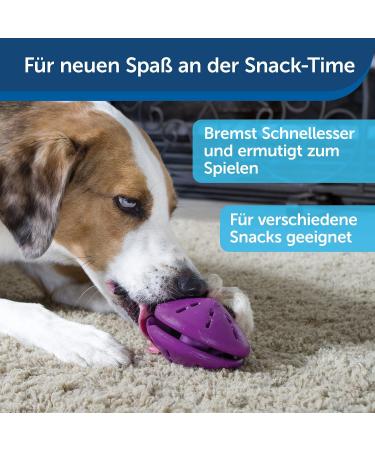 PetSafe Twist-n-Treat Dog Toy | Fillable Treat Toy | Customizable Dispensing & Dishwasher Safe | Purple L - Shop Now for International Shipping! - Buy Online on GoSupps.com