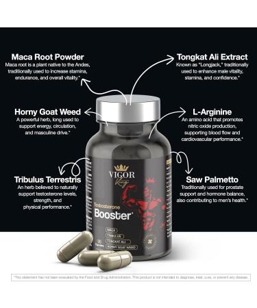 ViventyLife Testosterone Booster Supplement for Men - Horny Goat Weed Tongkat Ali L-Arginine + More - Workout Build Muscle Strength Energy & Performance 90 Capsules - Buy Online on GoSupps.com