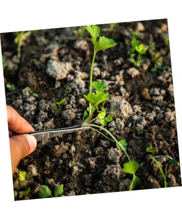 Minkissy 4-Part Set Tweezers for Eyelashes & Gardening - Stainless Steel Non-Slip Tools for Precision Planting & Splinter Removal - Buy Online on GoSupps.com