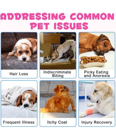 Liquid Collagen for Dogs Maintaining Dog Joint Health Shiny Coat & Healthy Skin Care Dog Digestive Health Supplement with Biotin MSM & Ginger Bacon Flavor - 2 fl oz - Buy Online on GoSupps.com