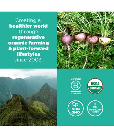 Buy Navitas Organics Gelatinized Maca Powder - 4 oz (113 g) | Organic Superfood for Energy & Wellness - Buy Online on GoSupps.com