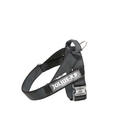 JULIUS K-9 Color & Gray Belt harness L / 1 L / 1 black-gray - Buy Online on GoSupps.com
