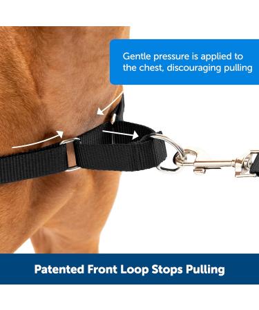 PetSafe Easy Walk Harness | No-Pull Adjustable Fit for Dogs | Includes 1.8m Lead | Black/Beige | Large/Medium - Buy Online on GoSupps.com