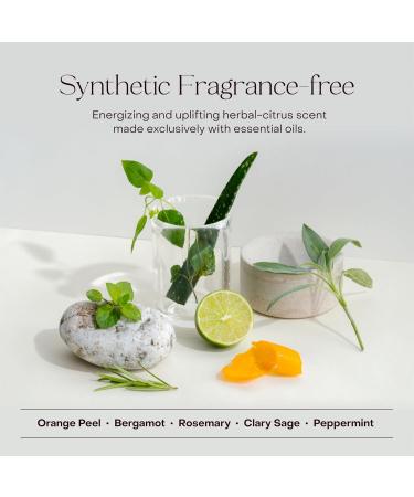 Everist The Silky Skin Ritual Set 3.4 fl. oz Exfoliating Body Wash Concentrate & 6.09 fl. oz Body Oil Spritz in Jute Travel Bag Cleansing & Hydrating For All Skin Types Exfoliating Set - Buy Online on GoSupps.com