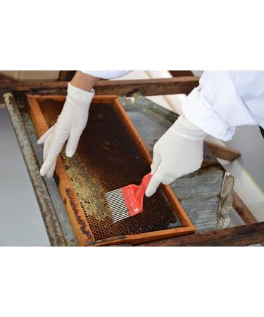 The Greek Kitchen Orange Blossom Honey Unheated & Unpasteurised 250 g - Buy Online on GoSupps.com