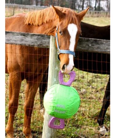 Signature Horsemen's Pride 14-Inch Horse Jolly Tug Blue one size - Buy Online on GoSupps.com