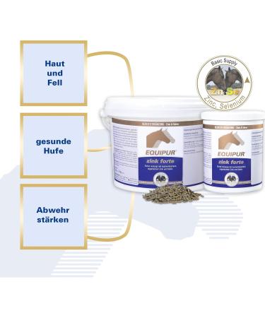 EQUIPUR - strong zinc 1 g - Buy Online on GoSupps.com