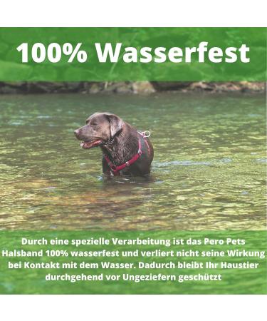 Pero Pets Tick Collar for Dogs & Cats | Waterproof Flea & Tick Protection - 8 Months Effectiveness - Buy Online on GoSupps.com