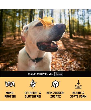 Buy Chewies Training Bats - Grain-Free Sugar-Free Monoprotein Chicken Dog Treats - Soft Healthy & Eco-Friendly - Made in Germany (6 x 175g) - Buy Online on GoSupps.com