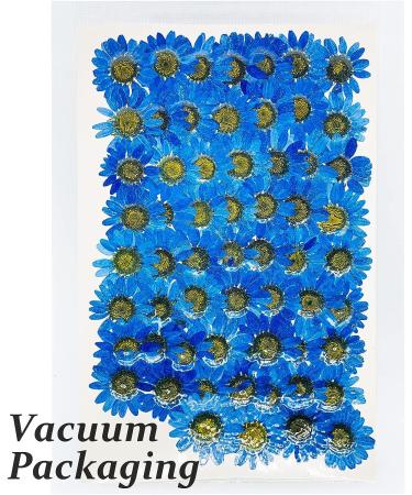 Heisenlin Dried Pressed Flower 60PCS Blue Natural Real Daisy Flowers with Forceps - DIY Crafts, Resin Jewelry, Soap, Scrapbooking - Nail Pendant Decoration - Buy Online on GoSupps.com