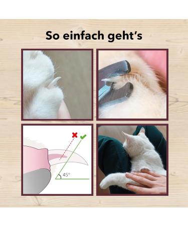 High-Quality Claw Scissors for Cats - Safe & Easy Nail Care for Beginners - International Shipping - Buy Online on GoSupps.com