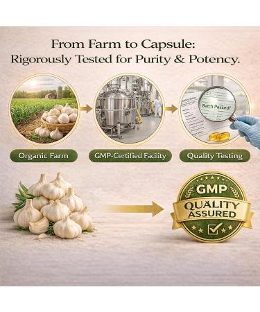 TRUE NATURALS Aged Garlic Extract - 300 Softgels 7500mg Odorless Organic Garlic Supplement 2-Year Matured for Heart Immune & Antioxidant Support Non-GMO Gluten Free Vegetarian (1) - Buy Online on GoSupps.com