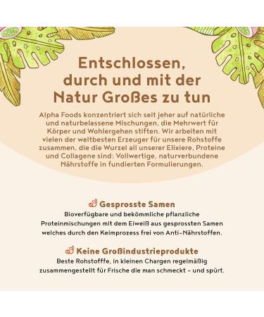 Buy Vegan Protein Powder - Snickerdoodle Flavor - 600g | Plant-Based Protein from Rice Peas & Seeds | International Shipping - Buy Online on GoSupps.com