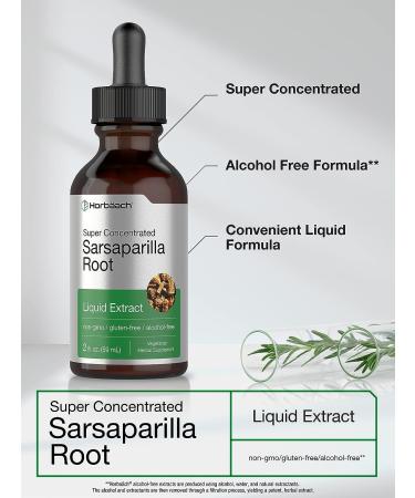 Sarsaparilla Root Liquid Extract - 2 fl oz | Alcohol-Free, Vegetarian, Non-GMO & Gluten-Free | Horbaach - Buy Online on GoSupps.com