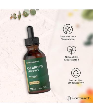 Horbaach Chlorophyll Liquid Drops 100ml Chlorophyll Drops Liquid Chlorophyll from Alfalfa 100 Days Delivery Vegan Horbach - Buy Online on GoSupps.com