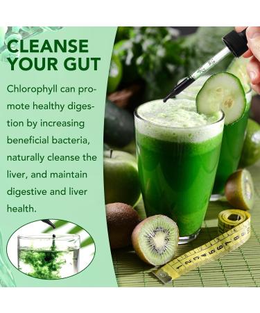 Chlorophyll Liquid Drops Organic Liquid Chlorophyll Body Deodorizing Supports for Odor Balance Natural Body Freshness Body Odor Control Fresh Breath 60ml 2Bottle. - Buy Online on GoSupps.com