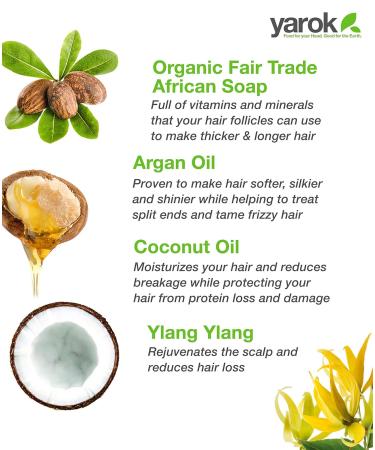 Yarok Feed Your Moisture Shampoo - Hydrating Detoxifying & Restoring Cleanse with Organic Argan & Coconut Oil - 100% Vegan Gluten & Sulfate Free - 12oz - Buy Online on GoSupps.com