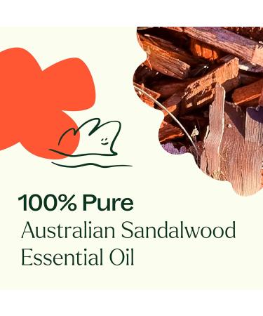 Buy Pure Australian Sandalwood Essential Oil - 100% Natural Aromatherapy for Diffusion & Body Care - Therapeutic Grade 5 mL - Buy Online on GoSupps.com