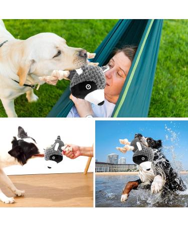SQinor Plush Squeaking Dog Toy - Interactive Raccoon Cuddly Toy for Large & Small Dogs and Puppies | Durable & Fun - Buy Online on GoSupps.com