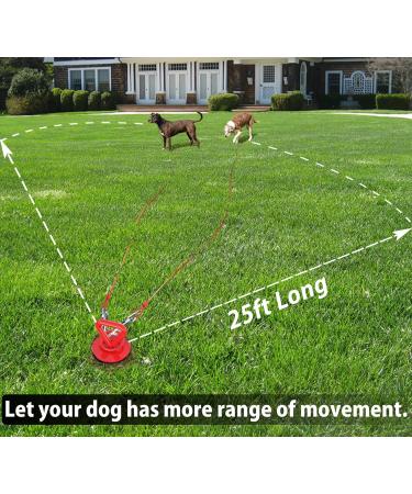 25 Ft Dog Tie Out Cable and Stake - Dog Yard Leash and Stake for Small Medium Large Dogs Up to 125 lbs - Spiral Blade Dog Yard Stake for Outside Yard Beach Lawn Red - Buy Online on GoSupps.com