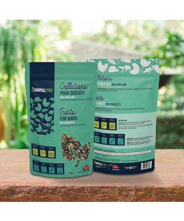AnimalPro Crickets for birds 227 g - 0 5 LB - Buy Online on GoSupps.com
