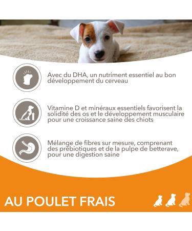 IAMS Vitality Puppy Food Small/Medium Breed with Fresh Chicken 12kg - Buy Online on GoSupps.com