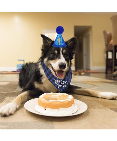 BAYINSHIDM Dog Birthday Party Supplies Bandana Dog Hat Triangle Scarf Cute Dog Bow Tie Collar (Blue) - Buy Online on GoSupps.com