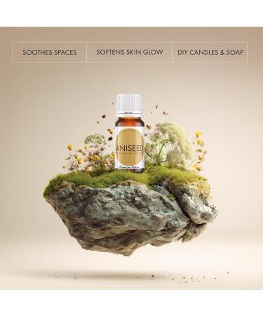 Aniseed Essential Oil | Fresh, Woodsy Licorice Scent | 100% Pure & Natural | for Diffuser, Candle Making & DIY Aromatherapy Blends, 0.34 fl oz Aniseed 0.34 Fl Oz (Pack of 1) - Buy Online on GoSupps.com