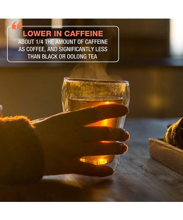 Organic Green Tea with Natural Ginger Peach Flavor - 50 Double Chambered Tea Bags | Low Caffeine, USDA Certified Organic, Non-GMO - Gluten Free - Buy Online on GoSupps.com