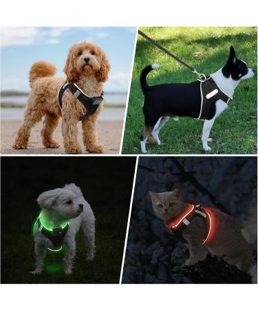 Buy PCEOTLLAR USB Rechargeable Reflective Dog Harness - Lightweight LED Light Breast Harness for Small & Medium Dogs - Breathable & Flashing - XS Black Green - Buy Online on GoSupps.com
