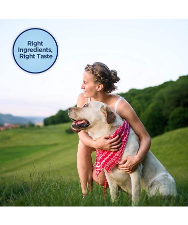 Natural Balance Limited Ingredient Diets Mini-Rewards Grain-Free Dog Training Treats - Chicken, Salmon, or Turkey Protein Options - Buy Online on GoSupps.com