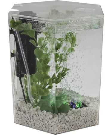1 Gallon Hexagon Tetra Bubbling LED Aquarium Kit with Color-Changing Light Disc - Buy Online on GoSupps.com