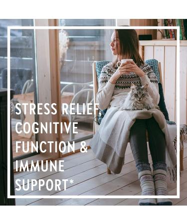 New Chapter Holy Basil Force - 120 Vegetarian Capsules for Stress Relief & Wellness - Buy Online on GoSupps.com