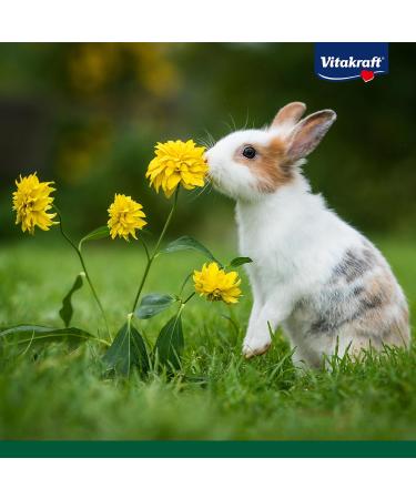 Vita Power Emotion Sensitive Rabbit Feed with Vegetables & Grasses - Low Energy No Added Sugar (5x600g) - International Shipping Available - Buy Online on GoSupps.com