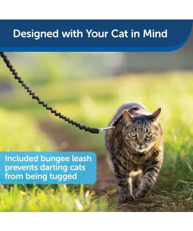 PetSafe Come with Me Kitty Harness & Bungee Leash - Adjustable Cat Harness for Large Cats | Black/Silver & Black/Beige - International Shipping Available - Buy Online on GoSupps.com