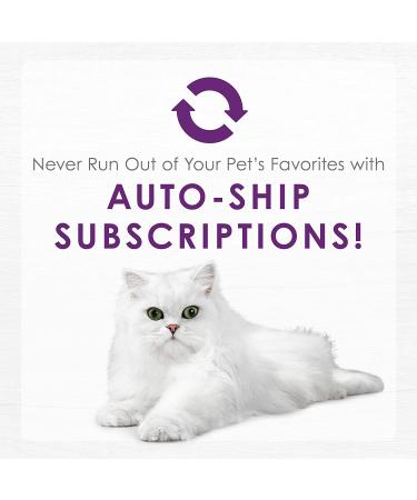 Fancy Feast Purina Grain-Free Senior Wet Cat Food Complement - Buy Online on GoSupps.com