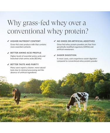 Beam Grass Fed Whey Protein Powder Chocolate Peanut Butter 12 Servings 22g Protein Per Serving Clean Whey Isolate & Concentrate Low Carb Paleo Friendly GMO Free Gluten Free 3rd Party Tested - Buy Online on GoSupps.com