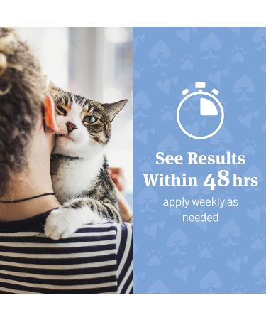 PetArmor Ear Rinse 4 oz for Dogs & Cats - Gentle Ear Cleaning Solution - Buy Online on GoSupps.com