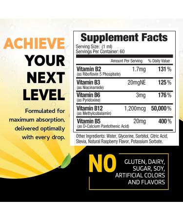 Vegan Vitamin B12 Liquid Drops - Fast-Acting Methylcobalamin Complex - Sublingual B Complex with B2 B3 B6 - Non-GMO Raspberry Flavor - 2 fl. oz - Buy Online on GoSupps.com