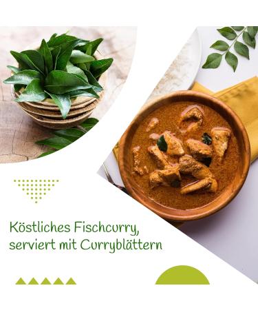 Organic Curry Leaves 50g - Dried Curry Leaves for Authentic Indian Ayurveda | Premium Quality | Omveda - Buy Online on GoSupps.com