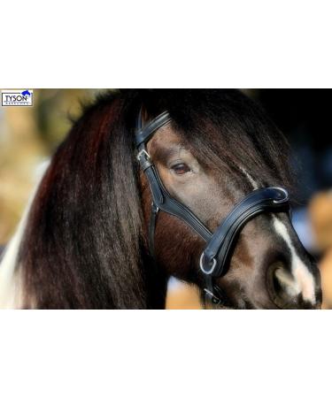 Natan Leather Cavesson - Ergonomic Eye Clearance for VB WB & X Full Coldblood | Large Fit Available - Buy Online on GoSupps.com