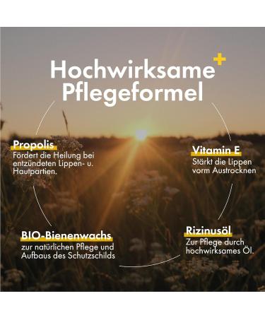 Propolis PUR Lip Care - Natural Lipstick for Dry and Inflamed Lips - Certified Controlled Natural Cosmetics - Buy Online on GoSupps.com