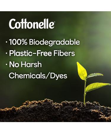 Cottonelle Flushable Wet Wipes for Adults - 42 Wipes, Alcohol-Free, Plastic-Free - Buy Online on GoSupps.com
