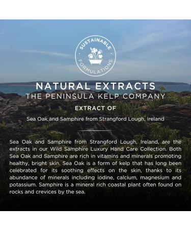 NOBLE ISLE Wild Samphire Luxury Hand Lotion 250ml - Premium Moisturizer for Hands | Shop Internationally - Buy Online on GoSupps.com