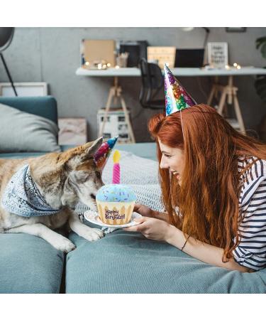 Nizirioo Plush Dog Toys - Birthday Cake & Bone Toys for Puppies | Soft & Safe Dog Birthday Gifts - Buy Online on GoSupps.com
