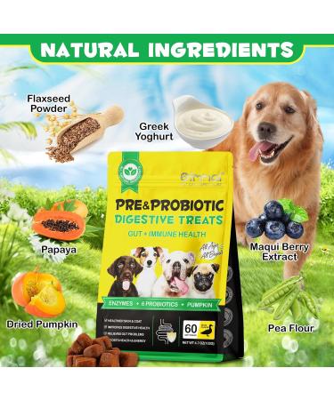 Probiotics Chews for Dogs 60 Counts Pre & Digestive and Immunity Treats for Dog 60Pcs Support Gut Health Seasonal Allergies Itchy Skin for All Type Dogs (Duck Flavor) - Buy Online on GoSupps.com