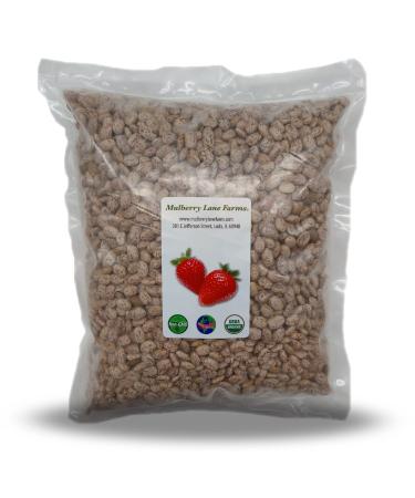 Pinto Beans, 5 Pounds Dried, USDA Certified Organic, Non-GMO Bulk, Product of USA, Mulberry Lane Farms