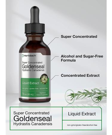 Goldenseal Root Extract | 1 fl oz Super Concentrated Tincture | Alcohol-Free, Non-GMO, Vegetarian | Gluten-Free by Horbaach - Buy Online on GoSupps.com