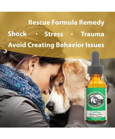 Botanical Animal Safe Natural Flower Essence Combination - Rebound & Rescue Emotional Support for Pets During Trauma, Panic, and Travel - Non-Mood Altering, Hemp-Free, Non Allergenic - 1 oz (30ml) - Buy Online on GoSupps.com